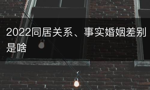 2022同居关系、事实婚姻差别是啥