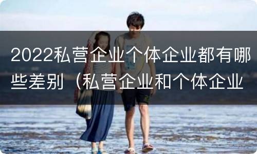 2022私营企业个体企业都有哪些差别（私营企业和个体企业的区别）