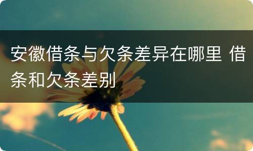 安徽借条与欠条差异在哪里 借条和欠条差别