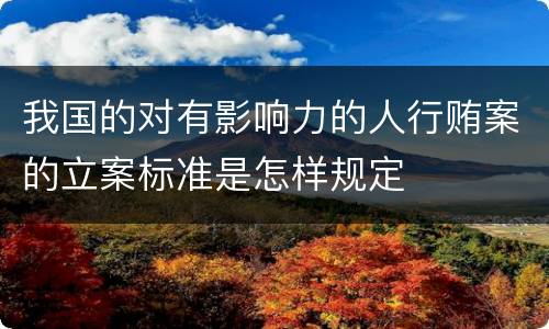我国的对有影响力的人行贿案的立案标准是怎样规定