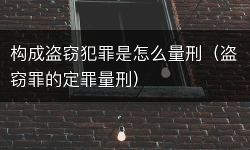 构成盗窃犯罪是怎么量刑（盗窃罪的定罪量刑）