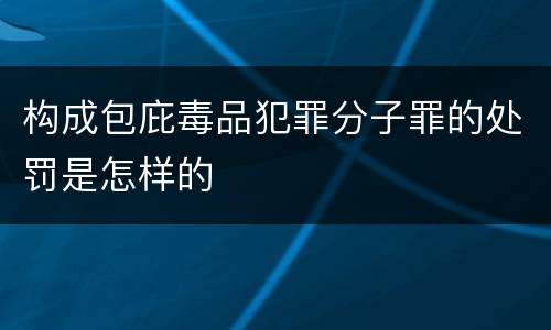 构成包庇毒品犯罪分子罪的处罚是怎样的