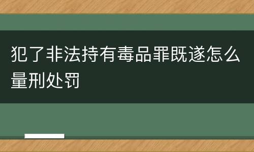 犯了非法持有毒品罪既遂怎么量刑处罚