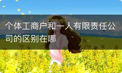 个体工商户和一人有限责任公司的区别在哪