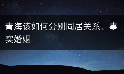 青海该如何分别同居关系、事实婚姻