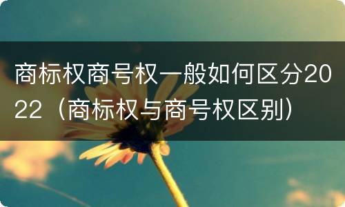 商标权商号权一般如何区分2022（商标权与商号权区别）