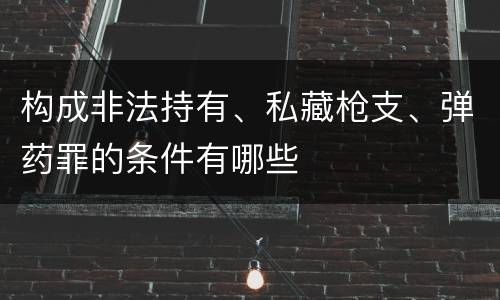 构成非法持有、私藏枪支、弹药罪的条件有哪些