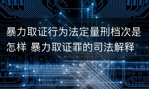 暴力取证行为法定量刑档次是怎样 暴力取证罪的司法解释