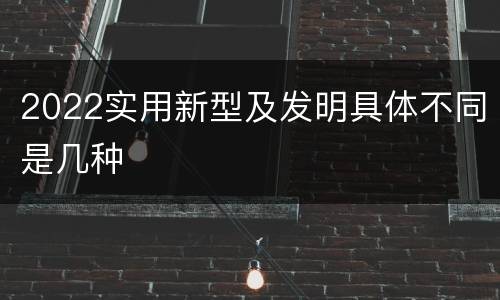 2022实用新型及发明具体不同是几种