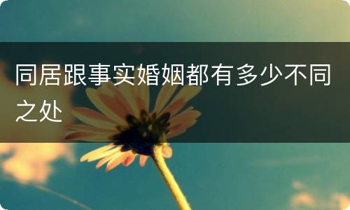同居跟事实婚姻都有多少不同之处
