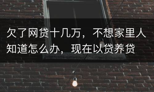 欠了网贷十几万，不想家里人知道怎么办，现在以贷养贷
