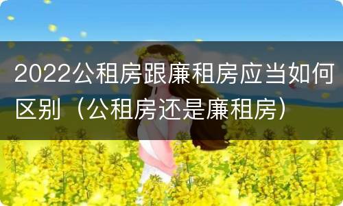 2022公租房跟廉租房应当如何区别（公租房还是廉租房）