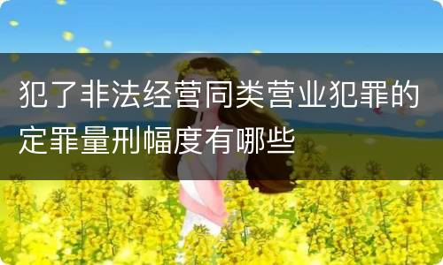 犯了非法经营同类营业犯罪的定罪量刑幅度有哪些