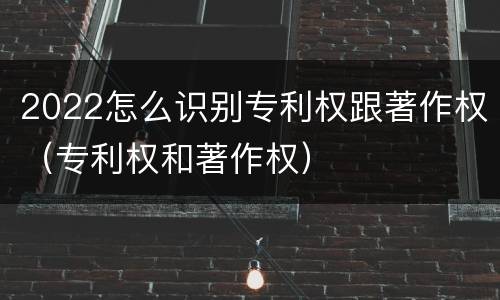 2022怎么识别专利权跟著作权（专利权和著作权）