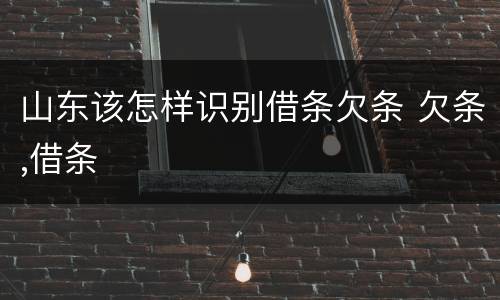 山东该怎样识别借条欠条 欠条,借条