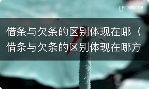 借条与欠条的区别体现在哪（借条与欠条的区别体现在哪方面）