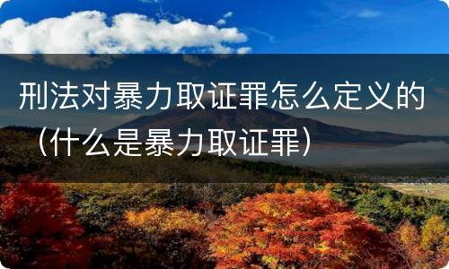 刑法对暴力取证罪怎么定义的（什么是暴力取证罪）