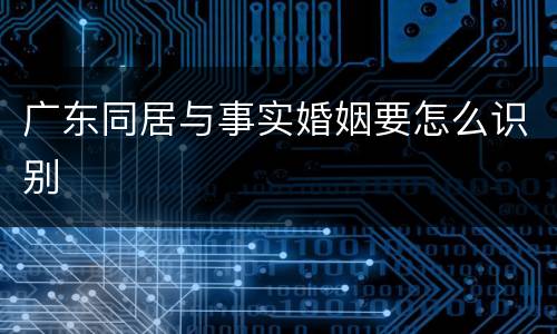 广东同居与事实婚姻要怎么识别
