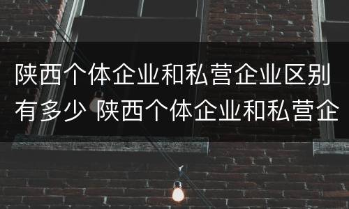 陕西个体企业和私营企业区别有多少 陕西个体企业和私营企业区别有多少家