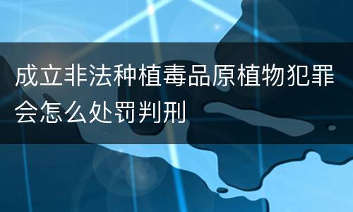 成立非法种植毒品原植物犯罪会怎么处罚判刑