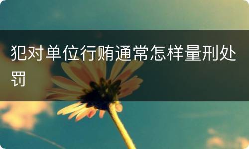 犯对单位行贿通常怎样量刑处罚