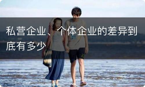 私营企业、个体企业的差异到底有多少