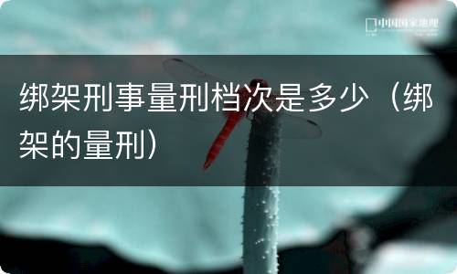绑架刑事量刑档次是多少（绑架的量刑）