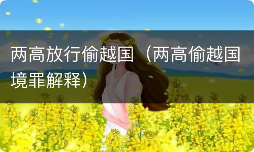 两高放行偷越国（两高偷越国境罪解释）