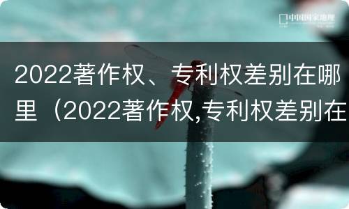 2022著作权、专利权差别在哪里（2022著作权,专利权差别在哪里查）