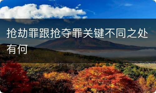 抢劫罪跟抢夺罪关键不同之处有何