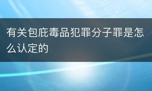 有关包庇毒品犯罪分子罪是怎么认定的