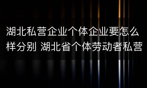 湖北私营企业个体企业要怎么样分别 湖北省个体劳动者私营企业协会