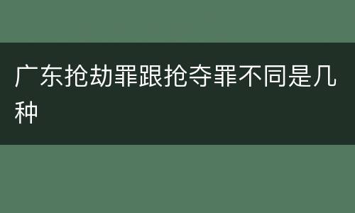 广东抢劫罪跟抢夺罪不同是几种