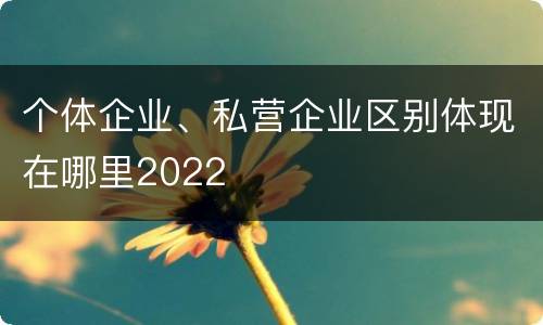 个体企业、私营企业区别体现在哪里2022
