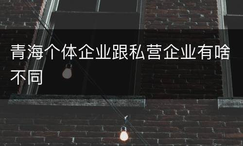 青海个体企业跟私营企业有啥不同