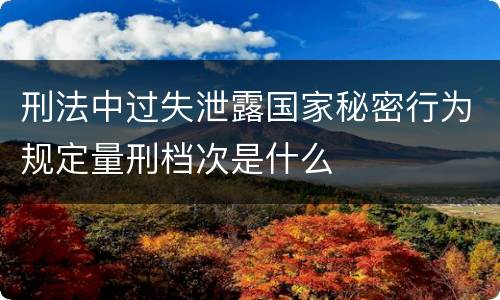 刑法中过失泄露国家秘密行为规定量刑档次是什么
