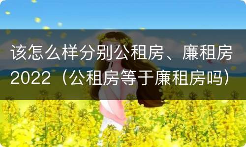 该怎么样分别公租房、廉租房2022（公租房等于廉租房吗）