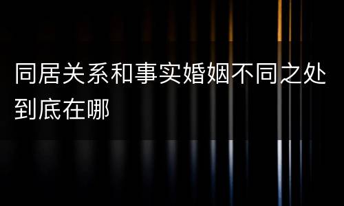 同居关系和事实婚姻不同之处到底在哪