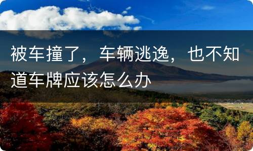 被车撞了，车辆逃逸，也不知道车牌应该怎么办