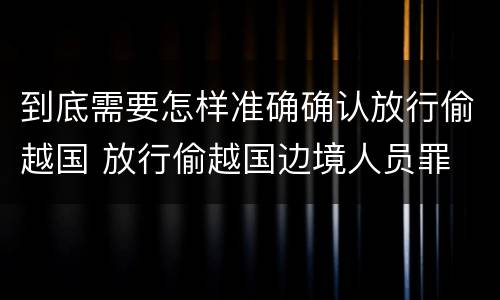 到底需要怎样准确确认放行偷越国 放行偷越国边境人员罪