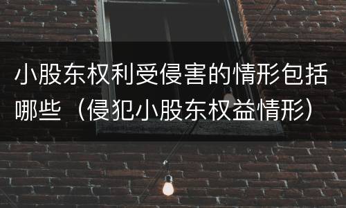 小股东权利受侵害的情形包括哪些（侵犯小股东权益情形）