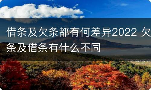 借条及欠条都有何差异2022 欠条及借条有什么不同