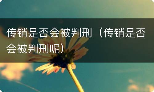 传销是否会被判刑（传销是否会被判刑呢）