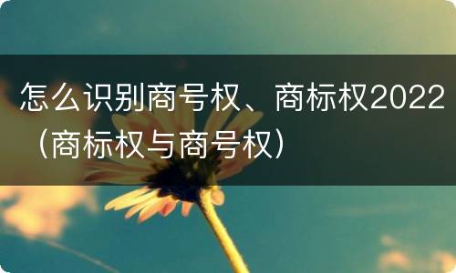 怎么识别商号权、商标权2022（商标权与商号权）
