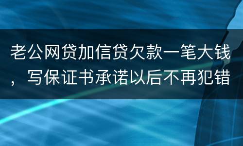 老公网贷加信贷欠款一笔大钱,写保证书承诺以后不再犯错,请问怎样写受法律保护