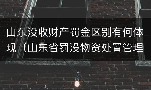 山东没收财产罚金区别有何体现（山东省罚没物资处置管理办法）
