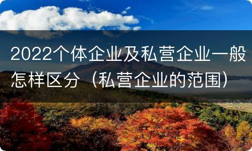 2022个体企业及私营企业一般怎样区分（私营企业的范围）
