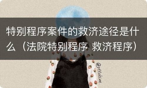 特别程序案件的救济途径是什么（法院特别程序 救济程序）