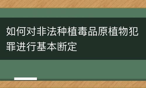如何对非法种植毒品原植物犯罪进行基本断定