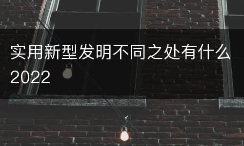 实用新型发明不同之处有什么2022